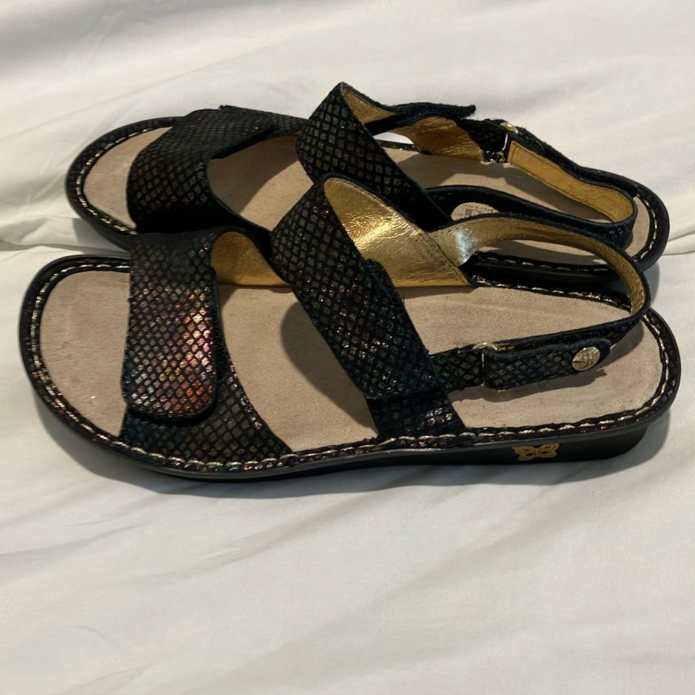 Alegria Black and Gold Sandals with Adjustable Straps SZ 40